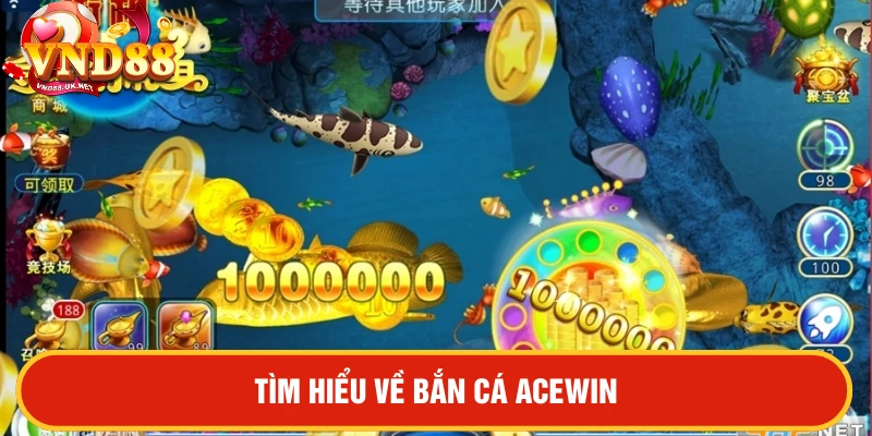 Bắn cá ACEWIN tìm hiểu