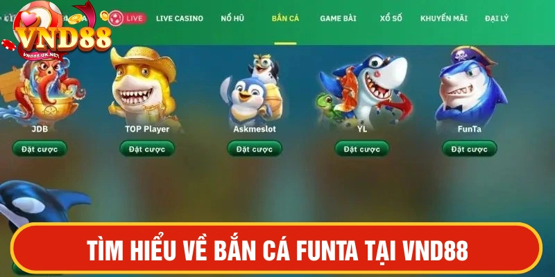 Bắn cá Funta tại VND88 tìm hiểu