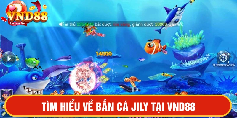 Bắn cá JILY tại VND88 tìm hiểu