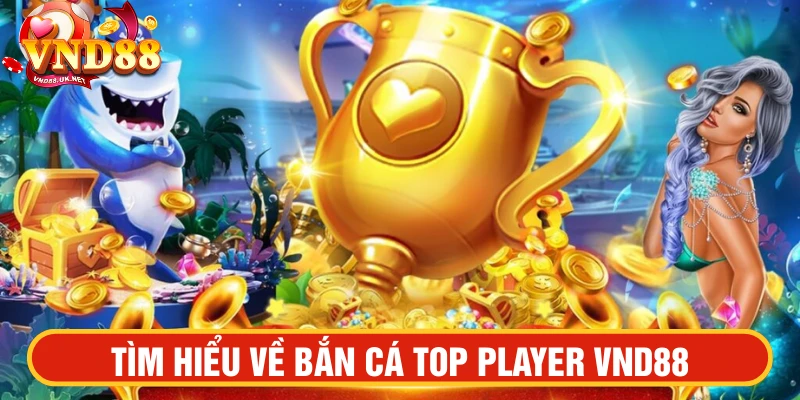Bắn cá top player VND88 tìm hiểu