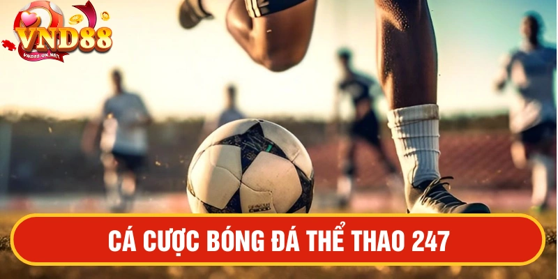 Bóng đá Thể thao 247