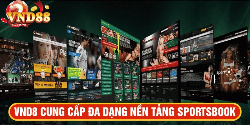 VND88 cung cấp đa dạng nền tảng sportsbook