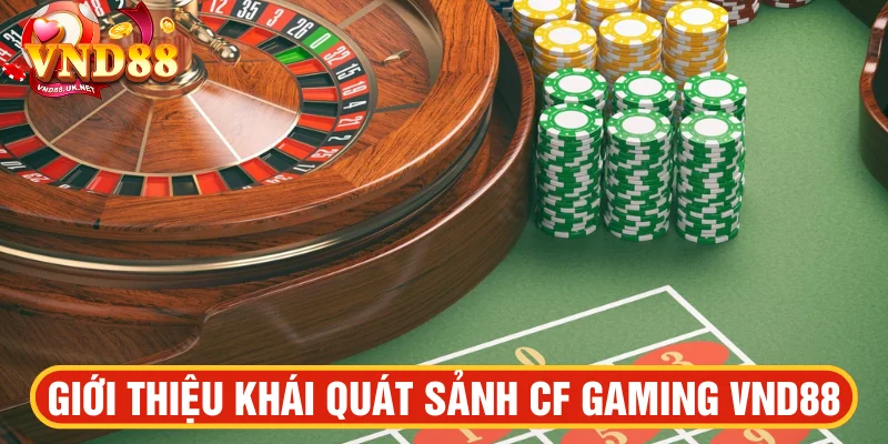 Giới thiệu khái quát sảnh CF Gaming