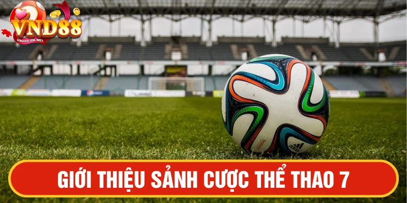 Giới thiệu sảnh Thể thao7