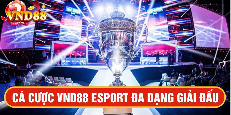 Hình thức chơi VND88 Esport