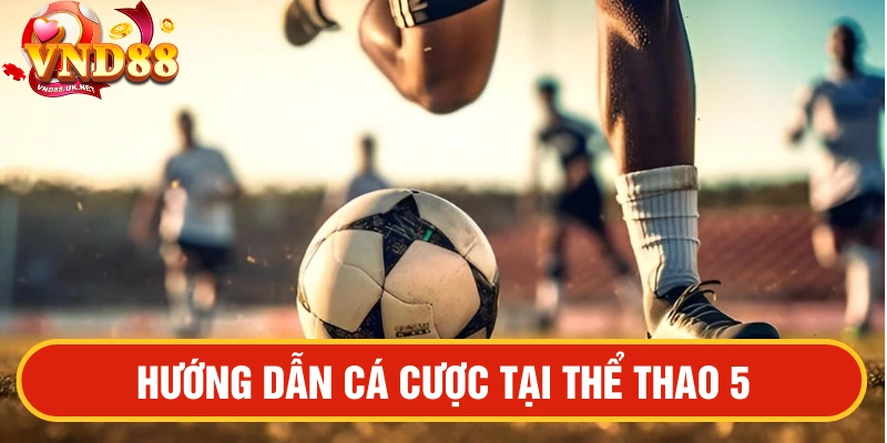 Hướng dẫn cược Thể thao 5