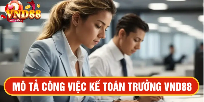 Kế toán trưởng VND88