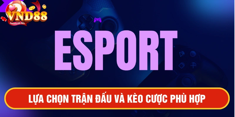Kinh nghiệm chơi VN88 Esport
