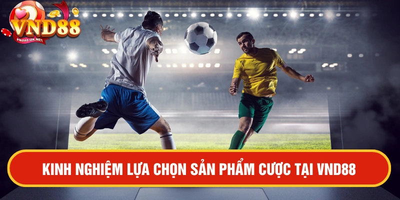 Kinh nghiệm lựa chọn sản phẩm tại VND88