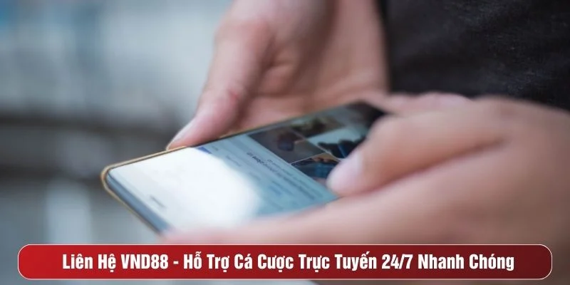 Liên hệ VND88
