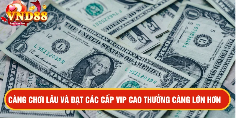 Tải app VND88 nhận thưởng