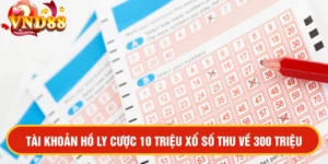 Tài Khoản Hồ Ly Đặt Cược 10 Triệu Vào Xổ Số VND88 Thu Về 300 Triệu Sau Nửa Giờ