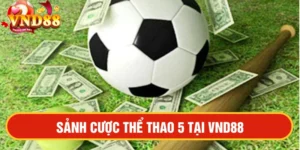 Thể thao 5
