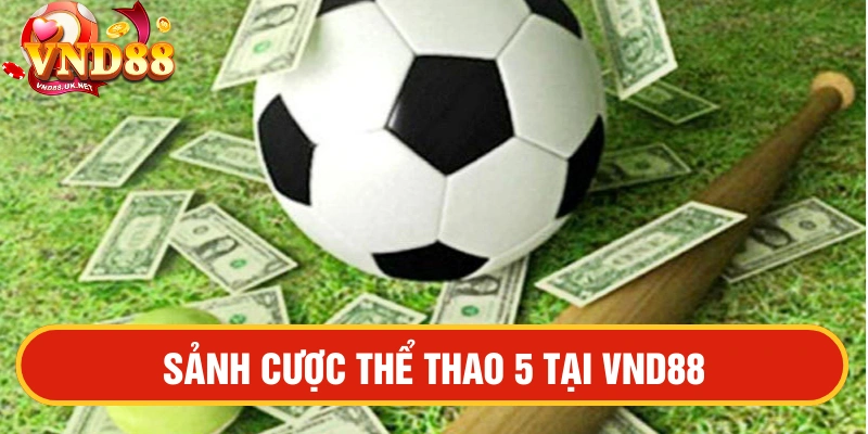 Thể thao 5