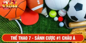Thể thao 7