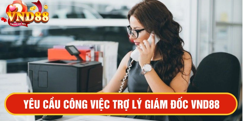 Trợ lý Giám đốc tại VND88
