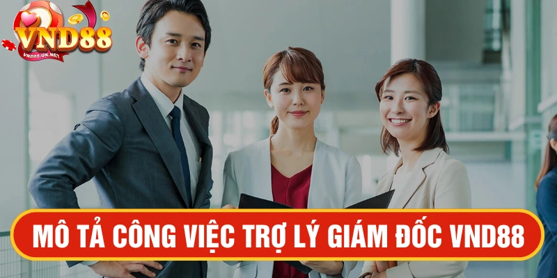 Trợ lý Giám đốc VND88