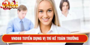 VND88 Tuyển dụng vị trí kế toán trưởng