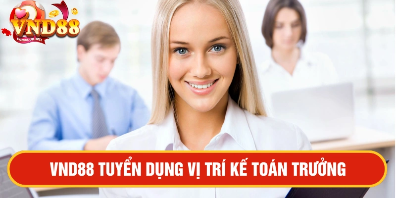 VND88 Tuyển dụng vị trí kế toán trưởng