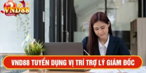 VND88 tuyển dụng vị trí Trợ lý Giám đốc