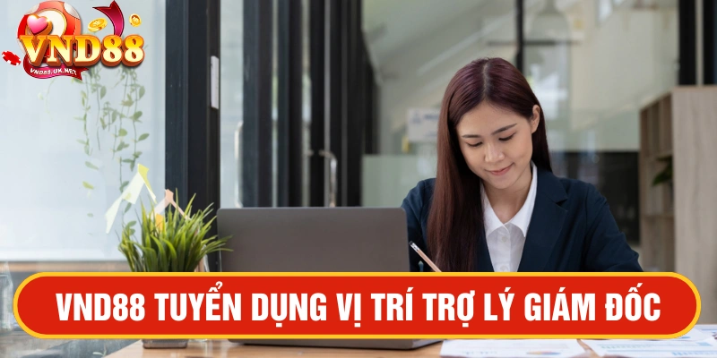 VND88 tuyển dụng vị trí Trợ lý Giám đốc