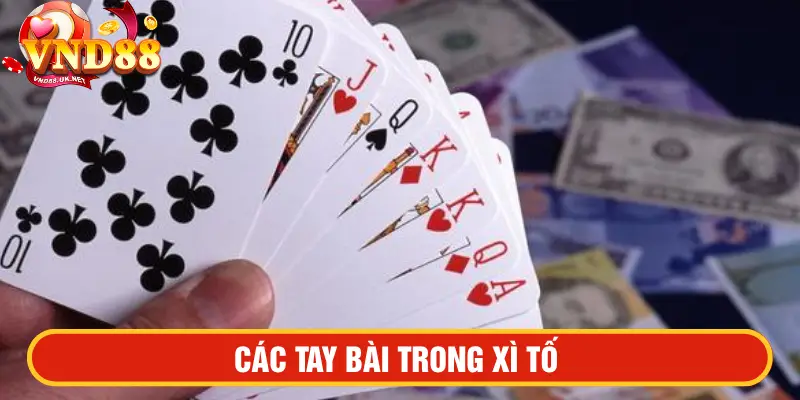 Các tay bài trong xì tố