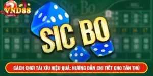 Cách Chơi Tài Xỉu
