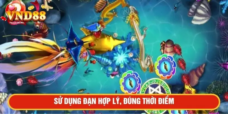 Sử dụng đạn hợp lý, đúng thời điểm