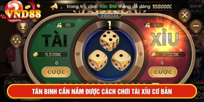 Tân binh cần nắm được cách chơi tài xỉu cơ bản