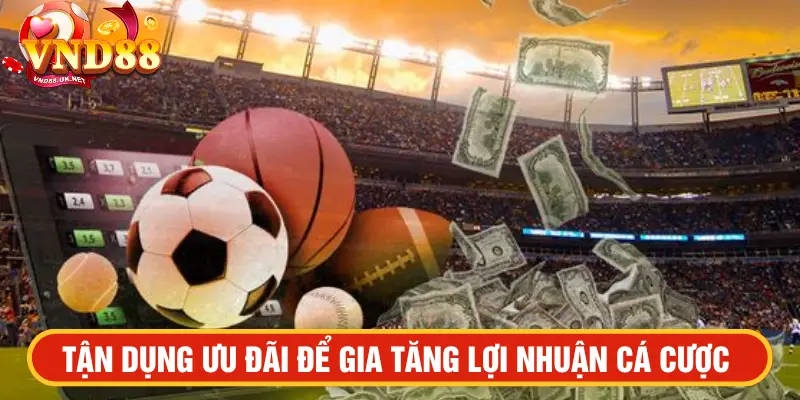 Tận dụng ưu đãi để gia tăng lợi nhuận cá cược