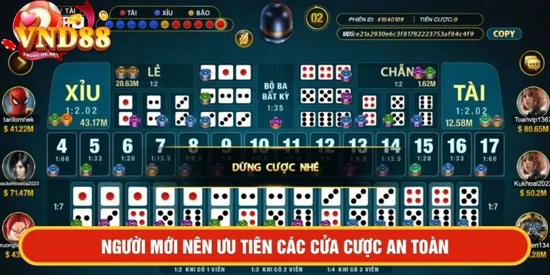 Người mới bên ưu tiên các cửa cược an toàn