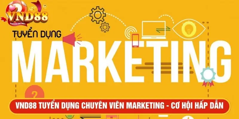 VND88 tuyển dụng chuyên viên Marketing